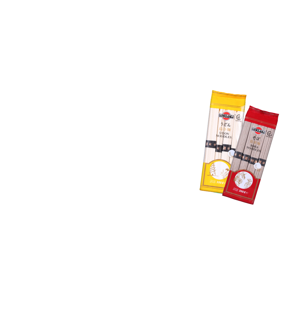 Massa alimentícia Udon, Miyata, Noodles Japoneses,Qualidade Premium, Sabores da Ásia